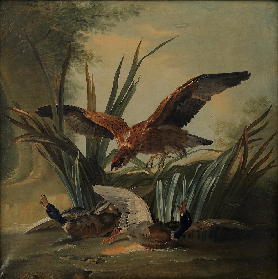 Jean-Baptiste Oudry - A Hawk Puncing on a Pair of Ducks - KMS1005 - Statens Museum for Kunst