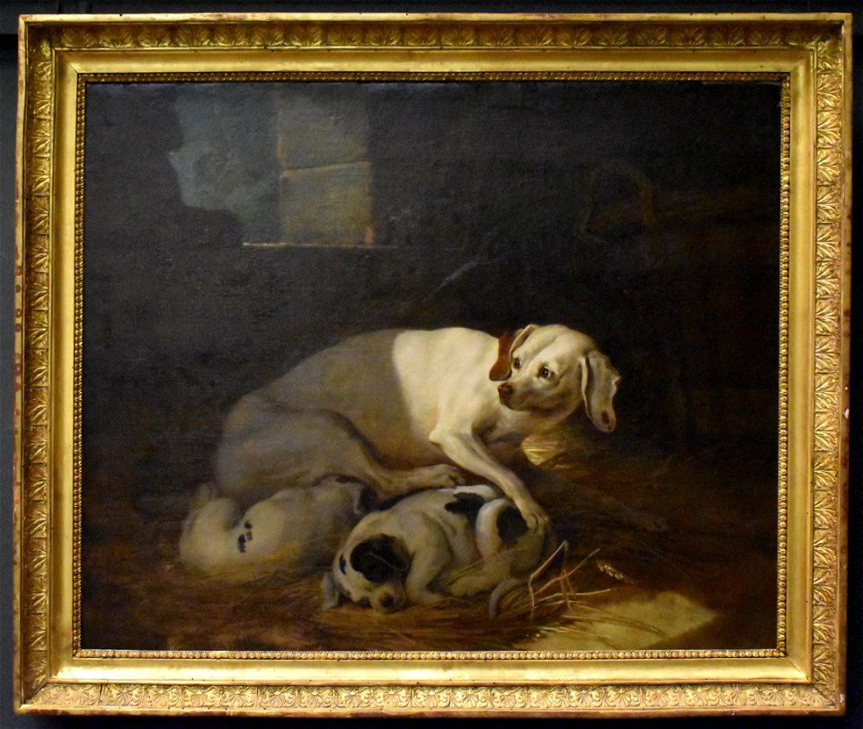 Jean-Baptiste Oudry - Chienne allaitant ses petits 2