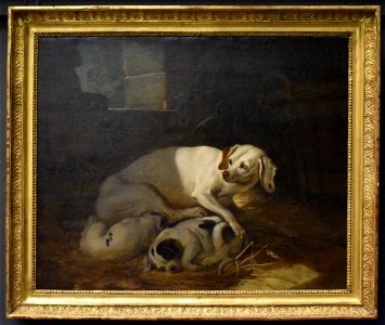 Jean-Baptiste Oudry - Chienne allaitant ses petits 2