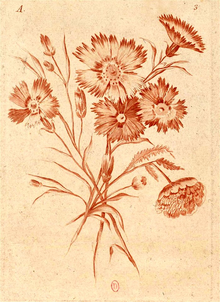Jean-Jacques Avril - bouquet de fleurs
