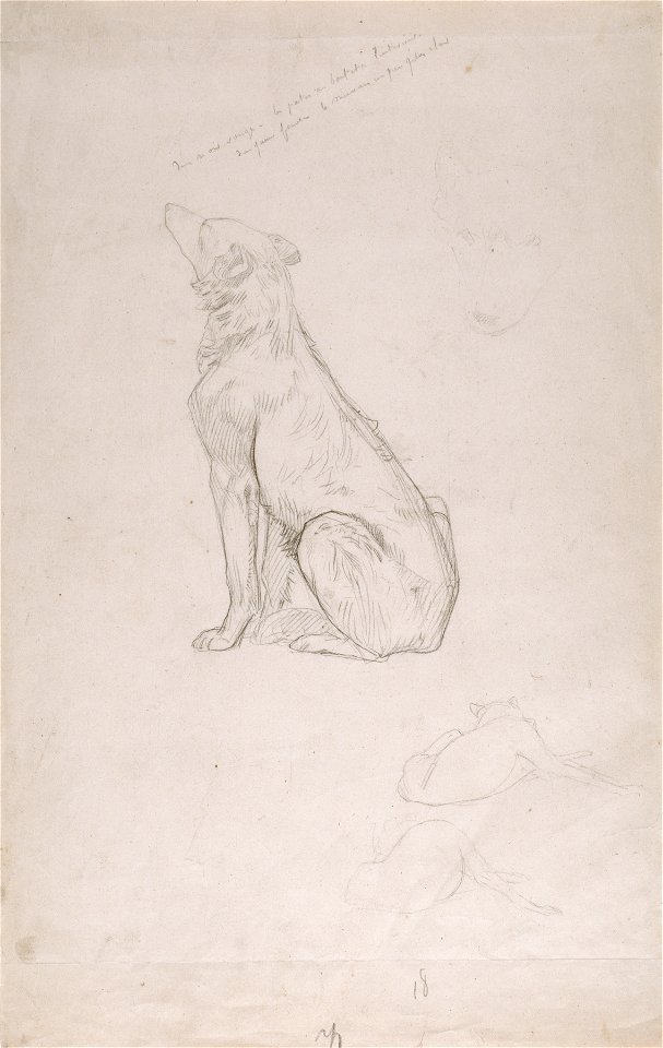 Jean-Léon Gérôme - Study for Diogenes - Walters 372765