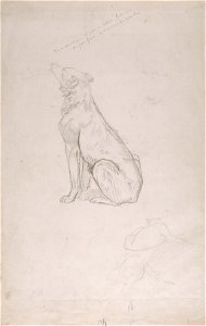 Jean-Léon Gérôme - Study for Diogenes - Walters 372765
