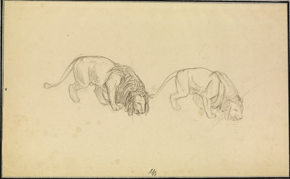 Jean-Léon Gérôme - Study of Lions - Walters 372789