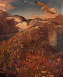 Jemima Blackburn A Gulls Nest