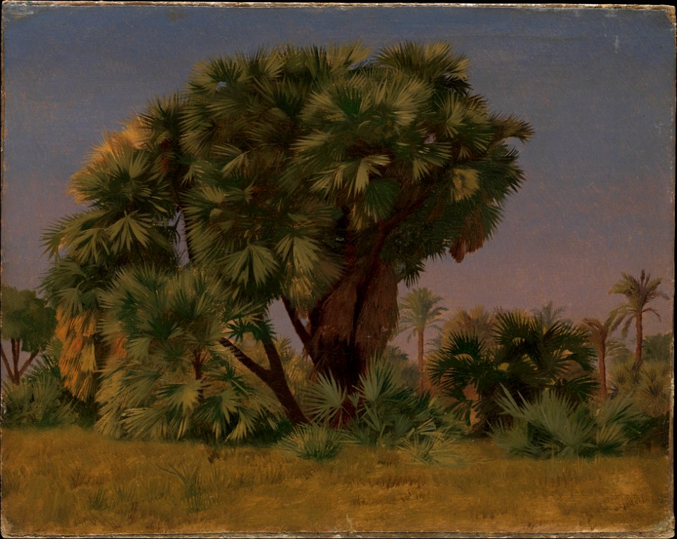 Jean-Léon Gérôme - Study of Palm Trees - 2015.506.3 - Metropolitan Museum of Art