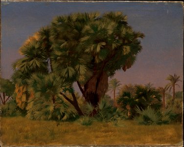 Jean-Léon Gérôme - Study of Palm Trees - 2015.506.3 - Metropolitan Museum of Art. Free illustration for personal and commercial use.