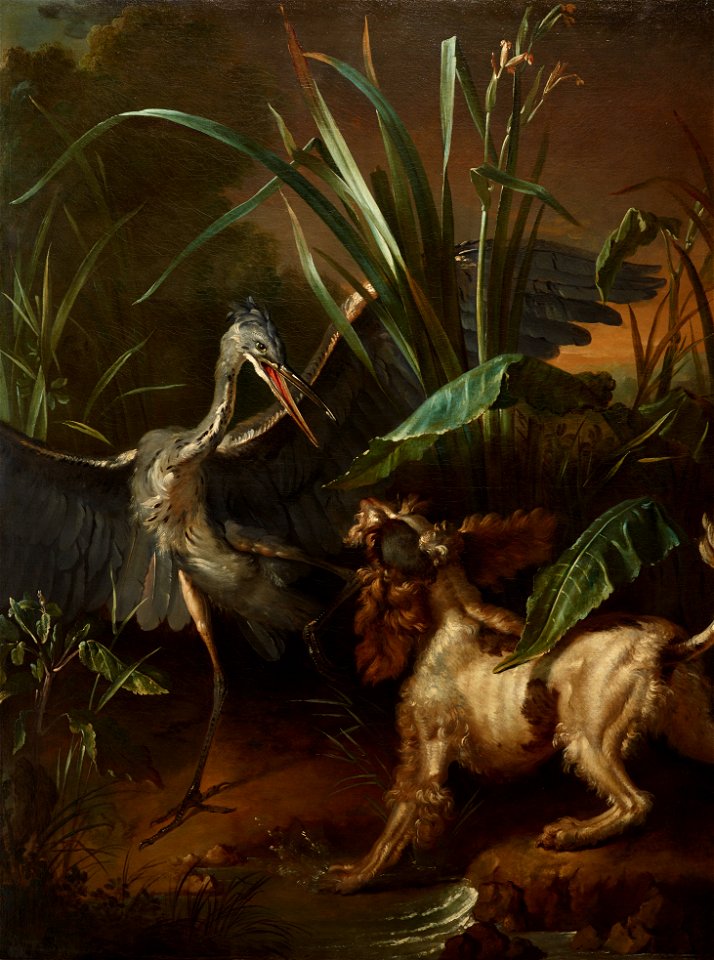 Jean–Baptiste Oudry - Water Spaniel Confronting a Heron - 32.2019.9 - Dallas Museum of Art