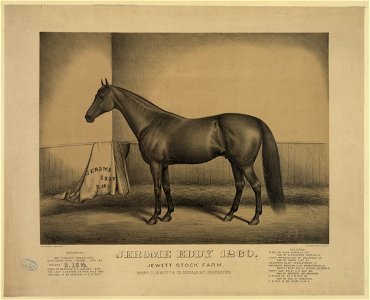 Jerome Eddy 1260. Jewett stock farm LCCN2003674345