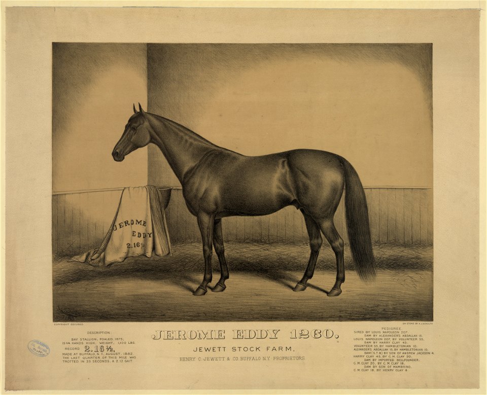 Jerome Eddy 1260. Jewett stock farm LCCN2003674345