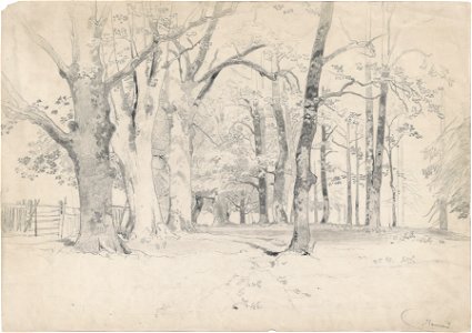 Eugen Jettel - Buchenwald bei Ramsau