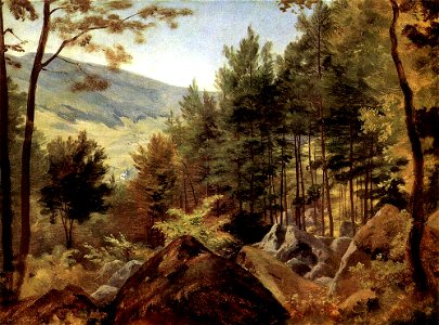 JH Schilbach - Lautertal im Odenwald (ÖaL um 1845)