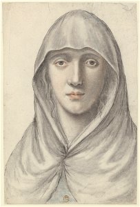 Jeune femme portant un voile, vue de face (Nicolas Lagneau)