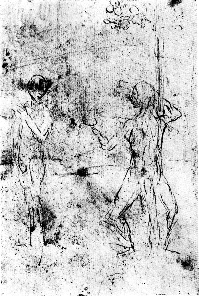 Jheronimus Bosch 008 recto 03