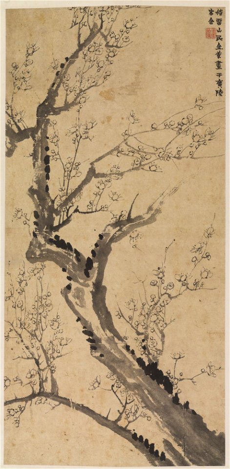 Jin Nong 金農 - Ink Plum (Mo mei 墨梅) - 1998-147 - Princeton University Art Museum