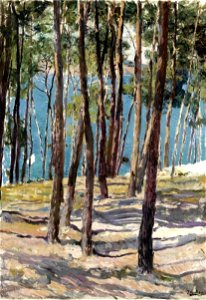 Joaquin Sorolla y Bastida - Pinos de Galicia
