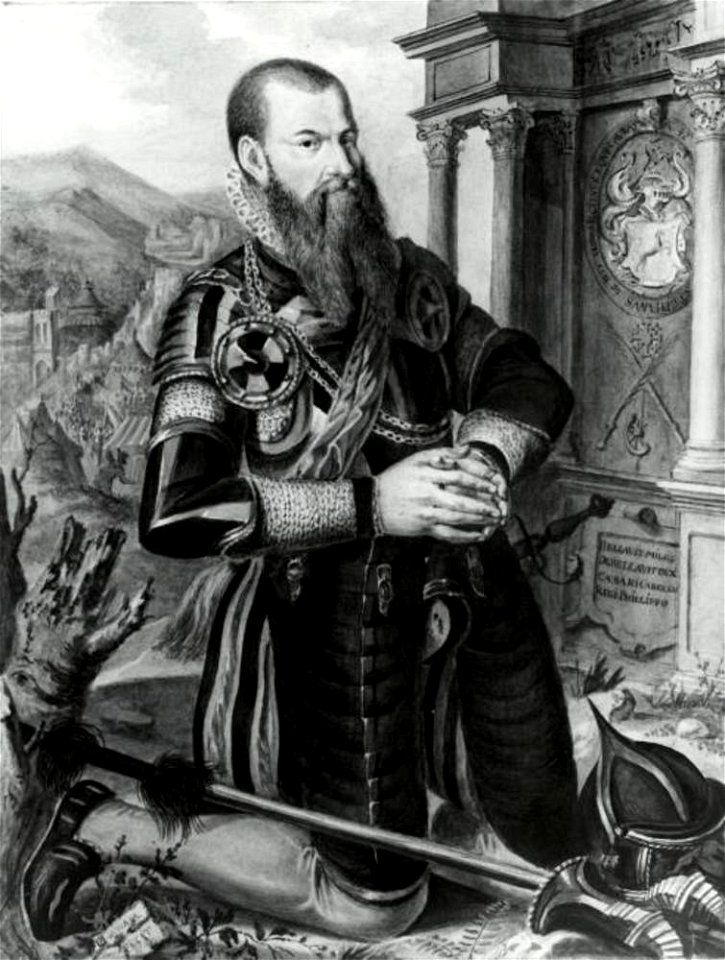Joachim Wtewael - Portret van Steven de Witt (^-1571) - 10196 - Centraal Museum