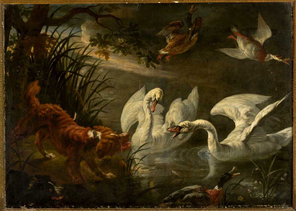 Joannes Fijt - Dog and swans - M.Ob.2075 MNW - National Museum in Warsaw