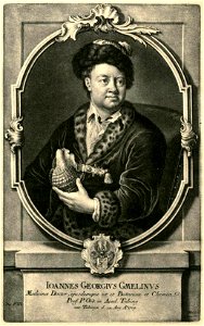 JJ Haid nach WD Majer - Johann Georg Gmelin (Schabkunst 1760)