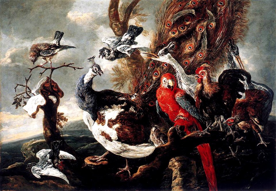 Joannes Fijt - Concert of Birds - WGA08344