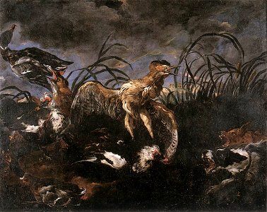 Joannes Fijt - Bittern and Ducks Startled by Dogs - WGA08346