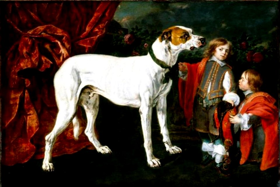 Joannes Fijt mogelijk Erasmus Quellinus (II) - Jongen en dwerg bij een grote hond - Gal.-Nr. 1211 - Staatliche Kunstsammlungen Dresden