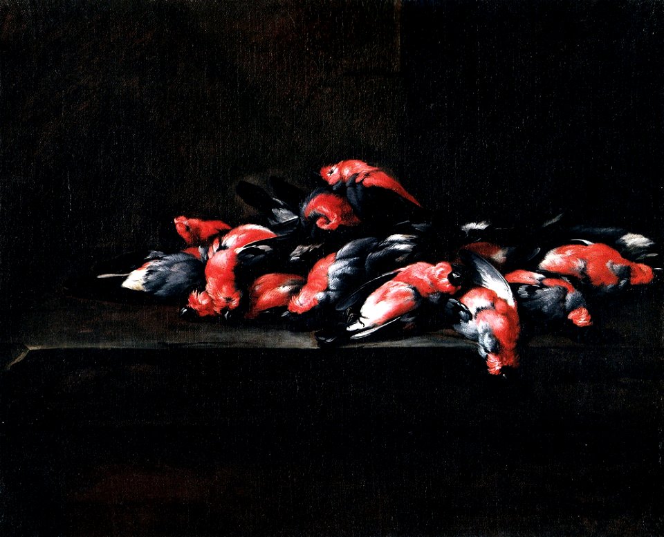 Joannes Hermans - Still Life with Dead Birds on a Ledge