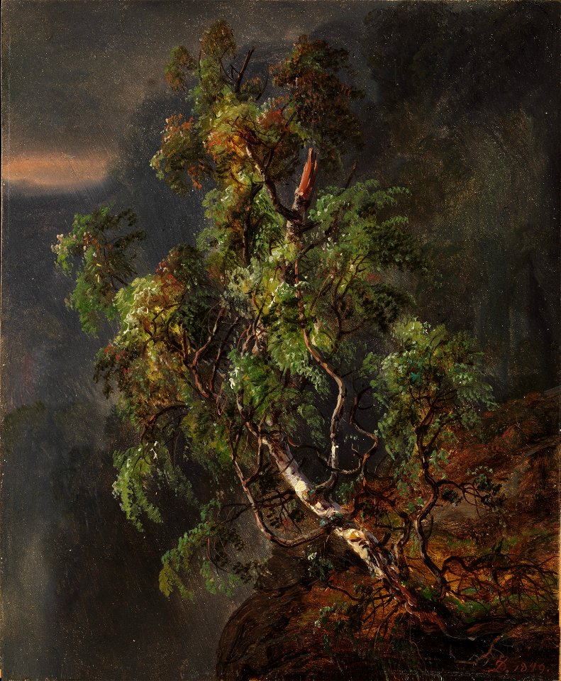 Johan Christian Dahl - Birch Tree in a Storm - MET 2009.400.32