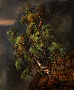 Johan Christian Dahl - Birch Tree in a Storm - MET 2009.400.32