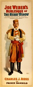 Joe Weber's burlesque of The merry widow by arrangement with Henry W. Savage ; original music by Franz Lehar ; book by Geo. V. Hobart ; staged by Julian Mitchell. LCCN2014635854