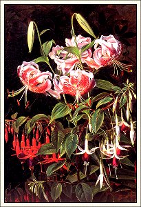 Johan Laurentz Jensen - Røde liljer og fuchsia