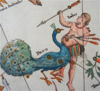 Johan Doppelmayr's celestial chart of Pavo and Indus (cropped)