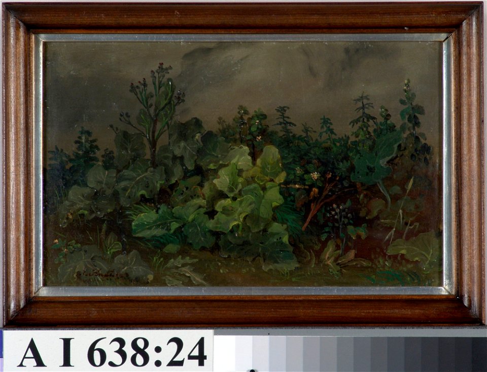 Johan Knutson - Leafs and Flowers - A I 638-24 - Finnish National Gallery