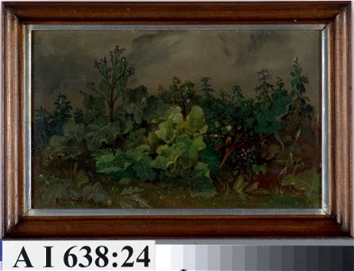 Johan Knutson - Leafs and Flowers - A I 638-24 - Finnish National Gallery