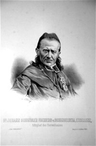 Johann Baptist Schindler Litho
