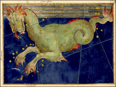 Johann Bayer -- Cetus