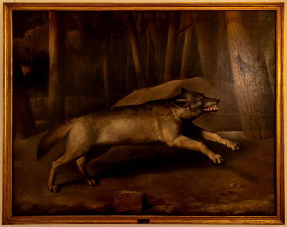 Johann Christof Merck-Wolf-4859