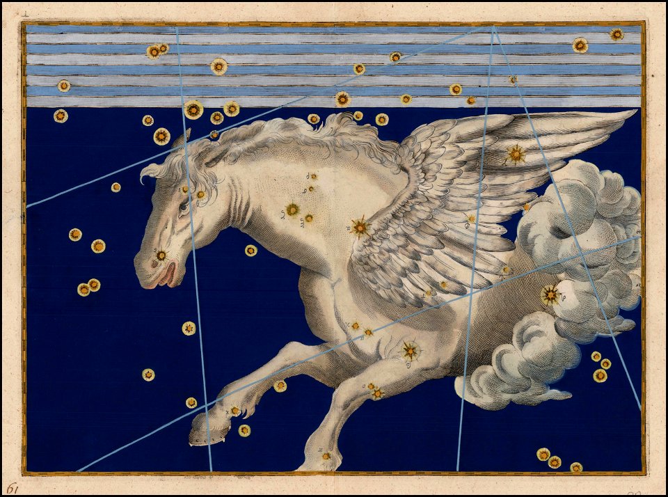 Johann Bayer - Pegasus