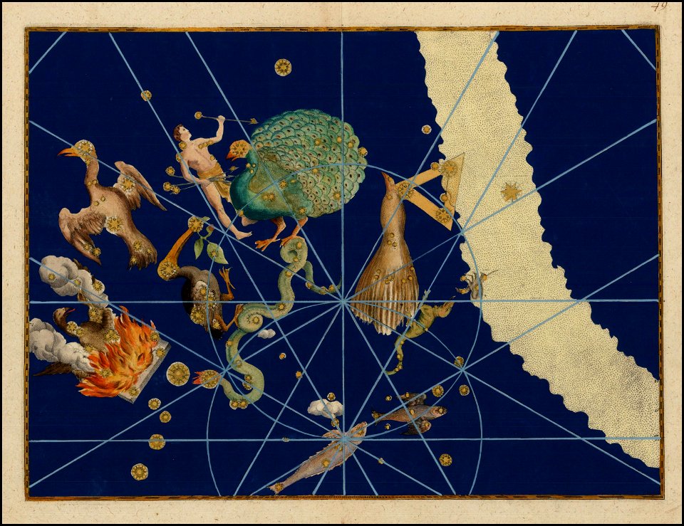 Johann Bayer - Pavo