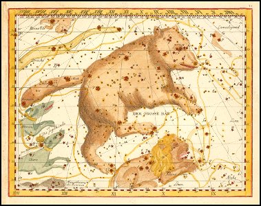 Johann Elert Bode - Der Grosse Bär