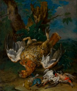 Johann Georg de Hamilton - Still Life with a Grouse - O 1246 - Slovak National Gallery