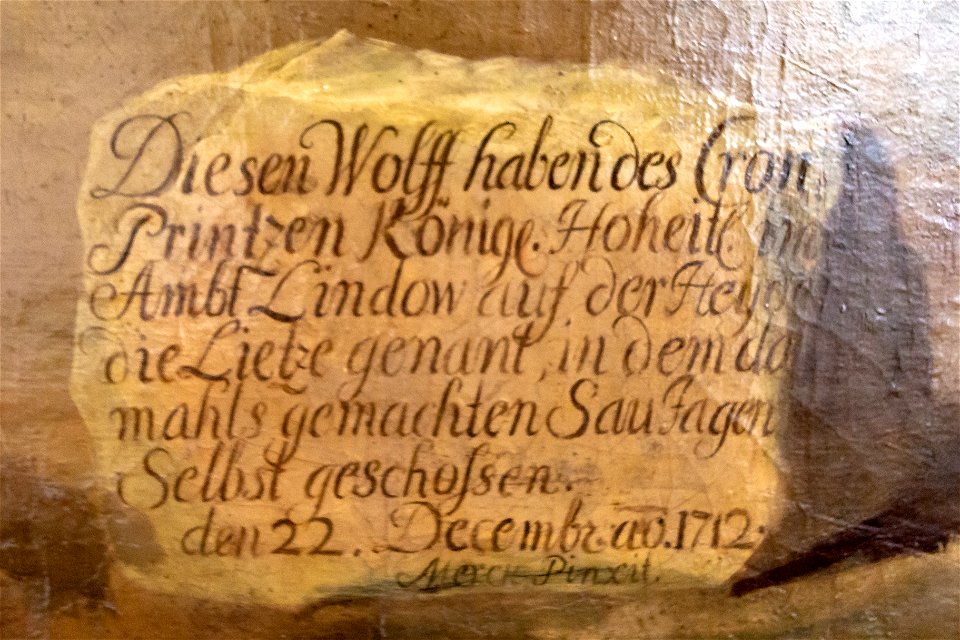 Johann Christof Merck-Wolf-4860