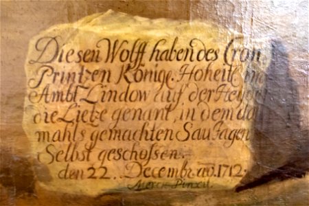 Johann Christof Merck-Wolf-4860