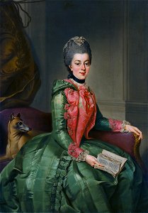 Johann Georg Ziesenis - Portret van Frederika Sophia Wilhelmina (1751-1820), prinses van Pruisen, echtgenote van Willem V, prins van Oranje-Nassau. Free illustration for personal and commercial use.