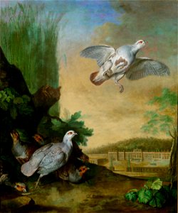 Johann Georg de Hamilton - Rebhühner im Schönbrunner Park - GG 2815 - Kunsthistorisches Museum