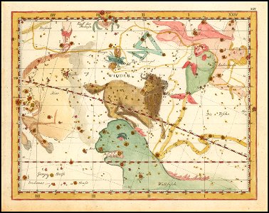 Johann Elert Bode - Aries