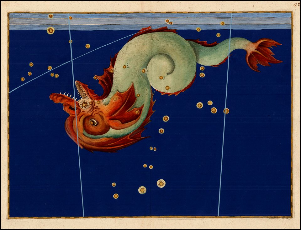 Johann Bayer - Picis Notius