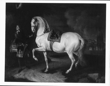 Johann Georg de Hamilton (1672-1737) - The Favourite Horse of the Duke of Modena - RCIN 407530 - Royal Collection
