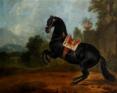 Johann Georg de Hamilton, , Kaiserliche Wagenburg Wien - Rappe in der Levade - WB Z 80 - Kunsthistorisches Museum