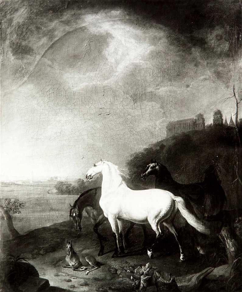 Johann Georg de Hamilton - Pferde auf der Weide - GG 377 - Kunsthistorisches Museum