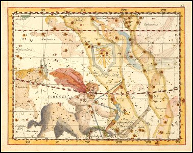Johann Elert Bode - Sagittarius and Sobieski's Shield
